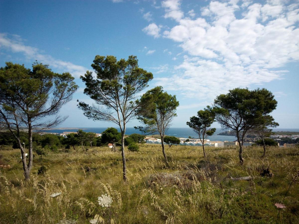 פונטה גרוסה Castellsol Arenal Home Beach מראה חיצוני תמונה