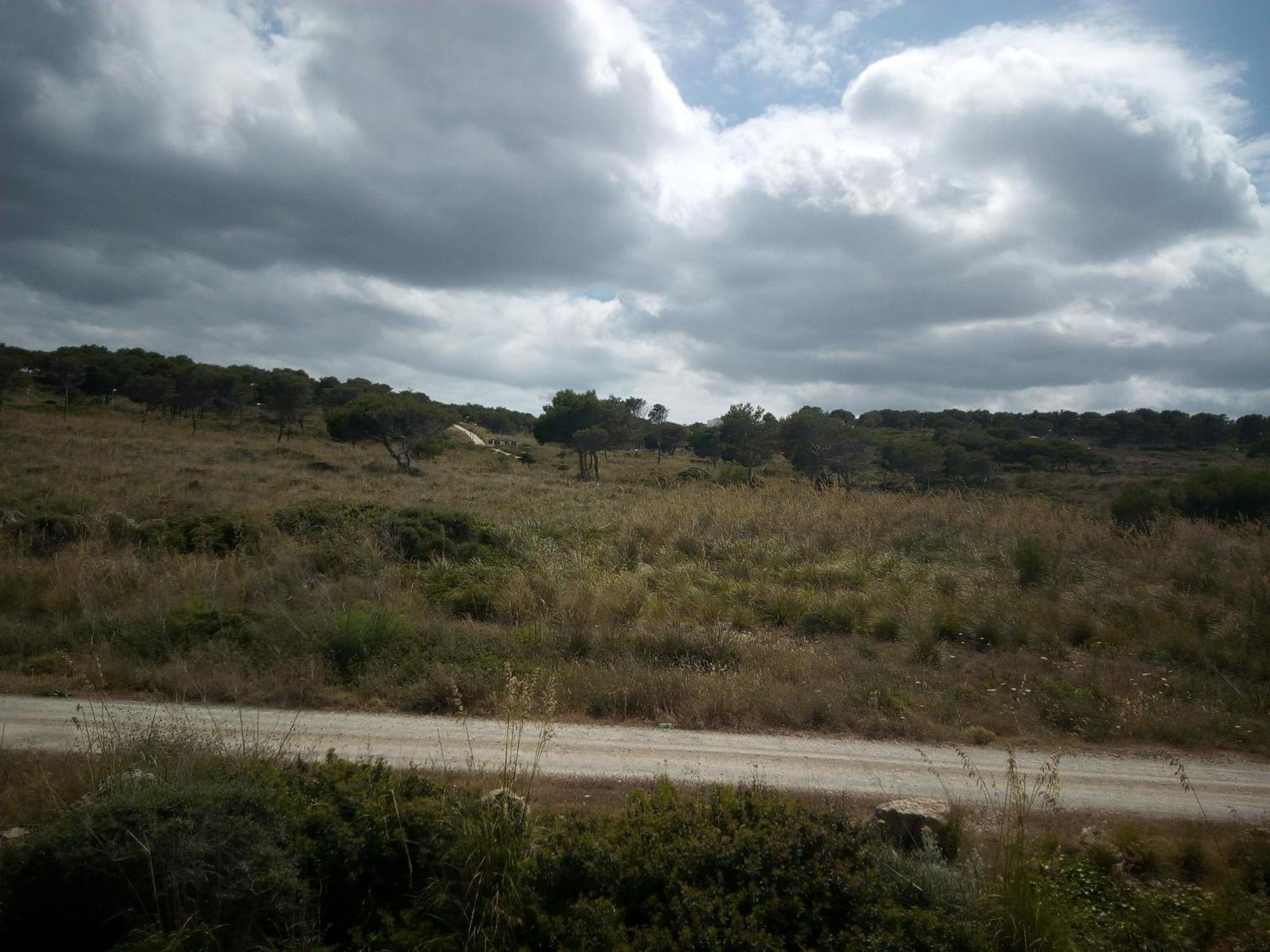 פונטה גרוסה Castellsol Arenal Home Beach חדר תמונה